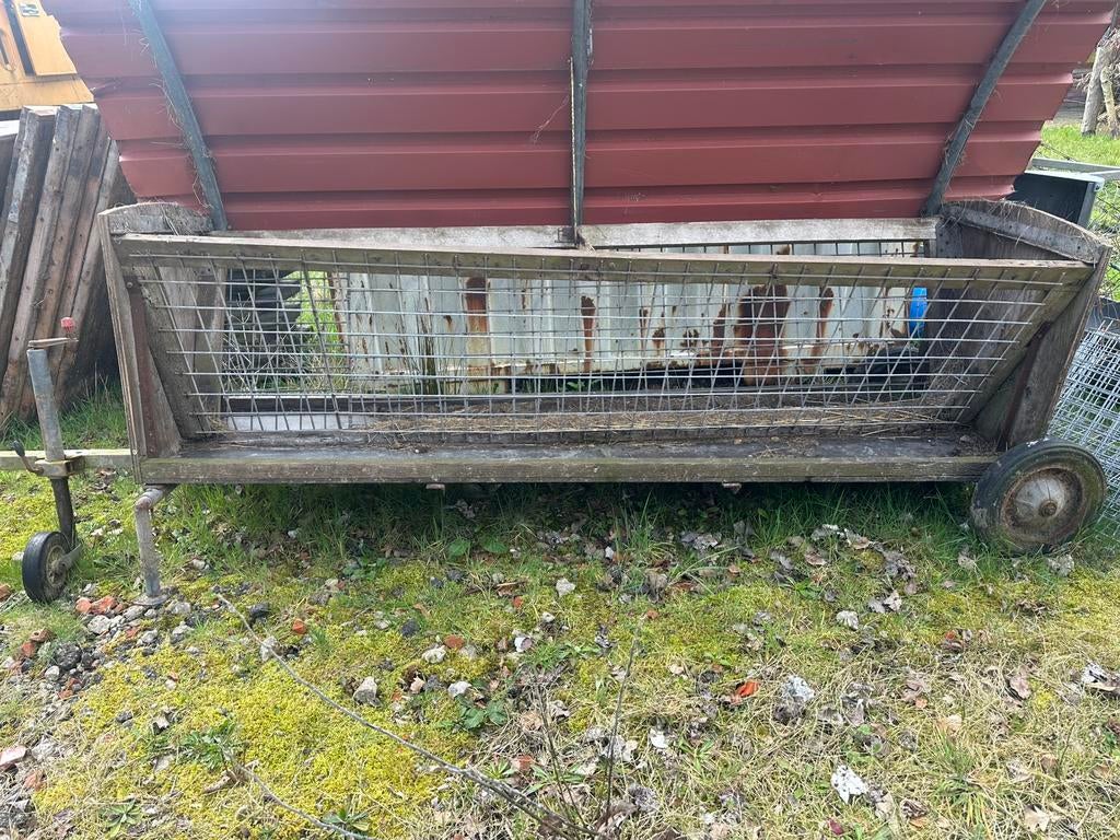Hooiruif, Meerdere dieren, Schaap