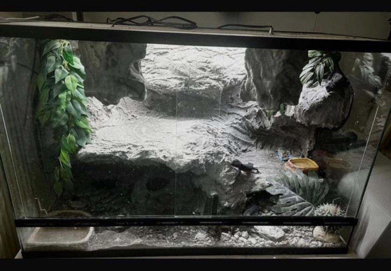 Heel net terrarium met achterwand en toebehoren, Ophalen, Zo goed als nieuw