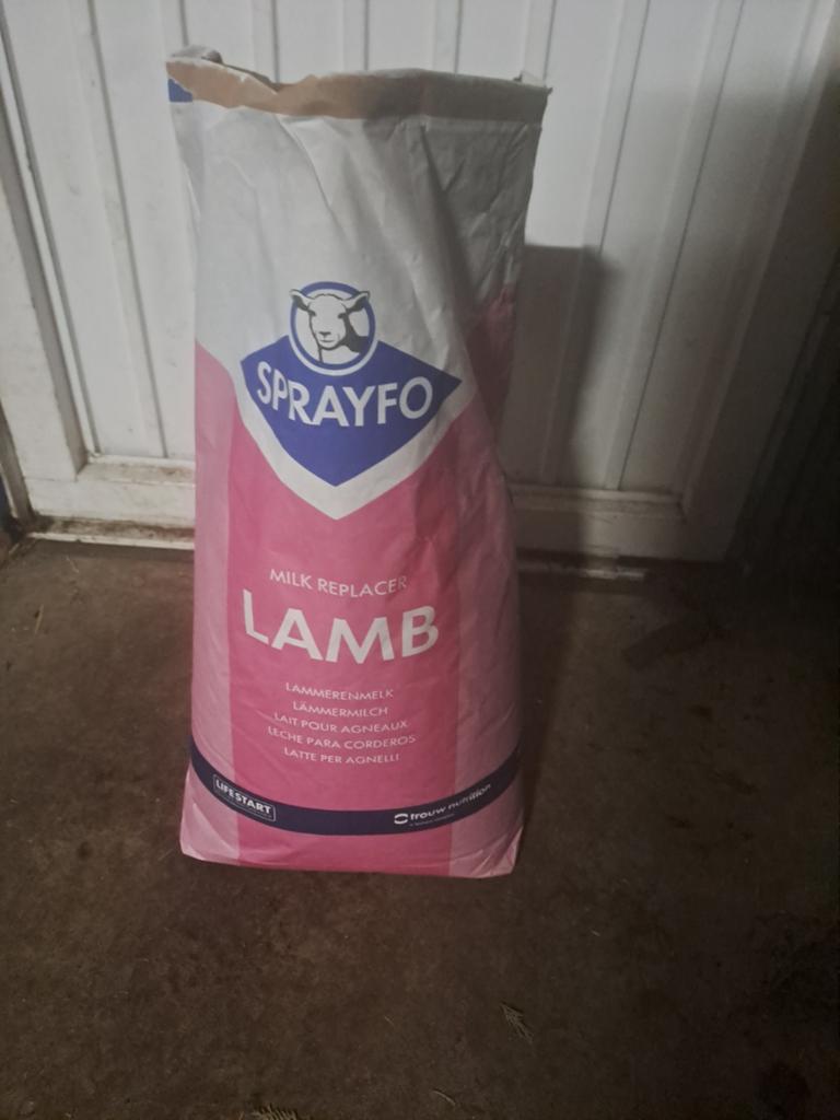 Lammeren melkpoeder