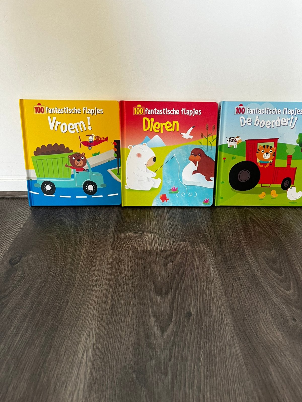 Kinder flapboekjes_Nieuw, Ophalen, Zo goed als nieuw