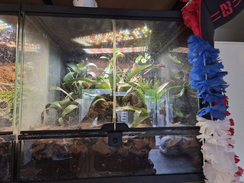 Repto Terra Sky (2) 45x45x45 60,-, Dieren en Toebehoren, Ophalen, Gebruikt, Terrarium of Paludarium
