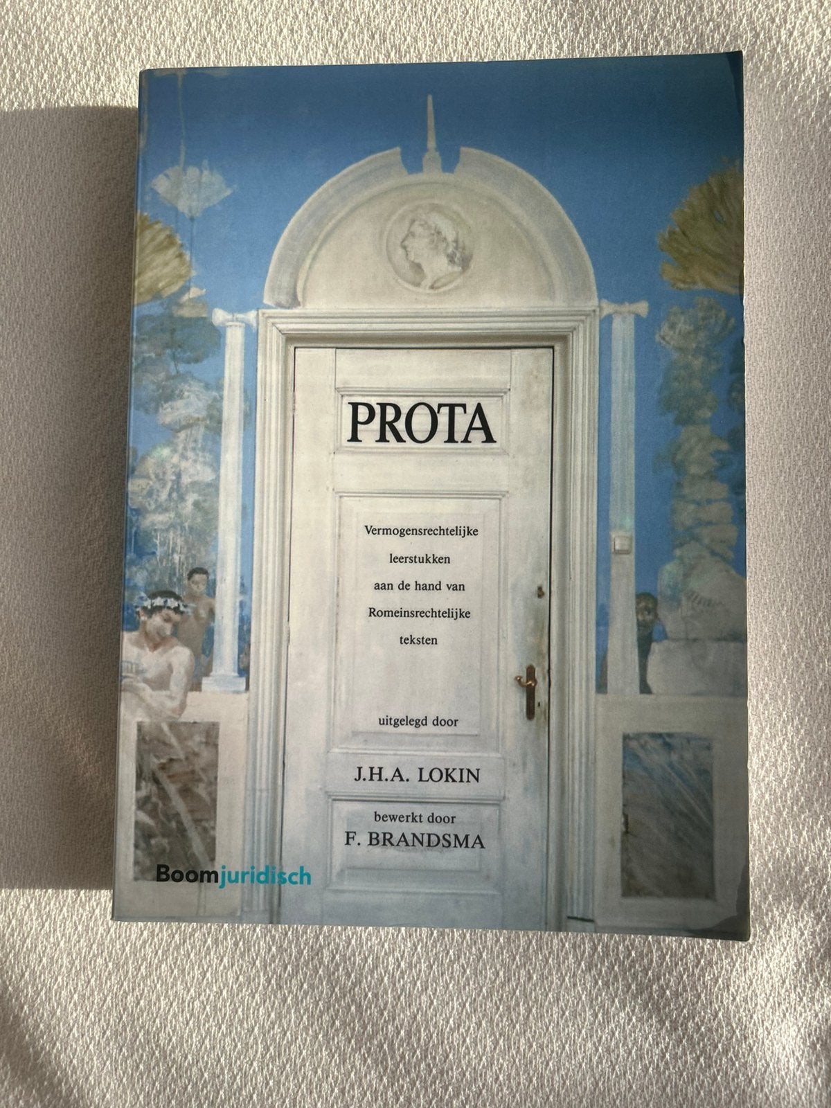 J.H.A. Lokin - Prota (Nieuw), Ophalen of Verzenden, Nieuw, J.H.A. Lokin; F. Brandsma