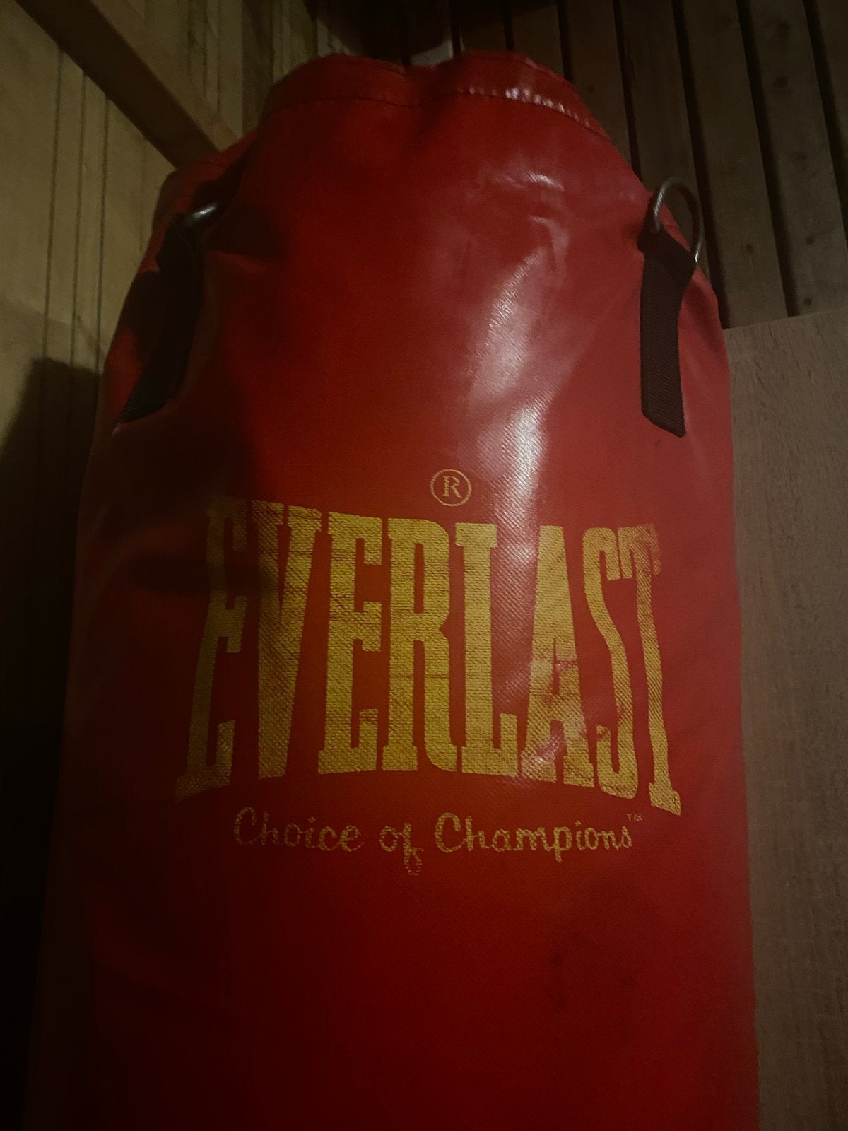 Everlast leren bokszak – zware uitvoering incl. ophangbeugel, Ophalen, Gebruikt, Bokszak
