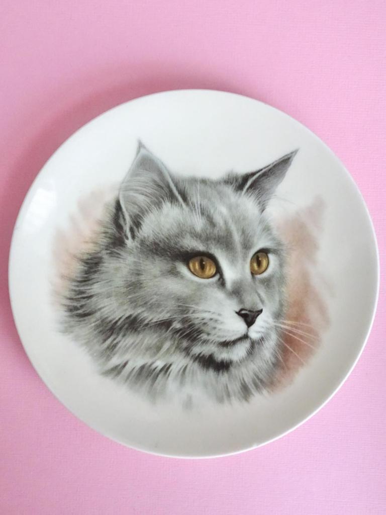 Vintage Maine Coon kat wandbord bordje porselein kitsch cat, Verzenden, 17 cm, Zo goed als nieuw, Wandbord of Wandpaneel