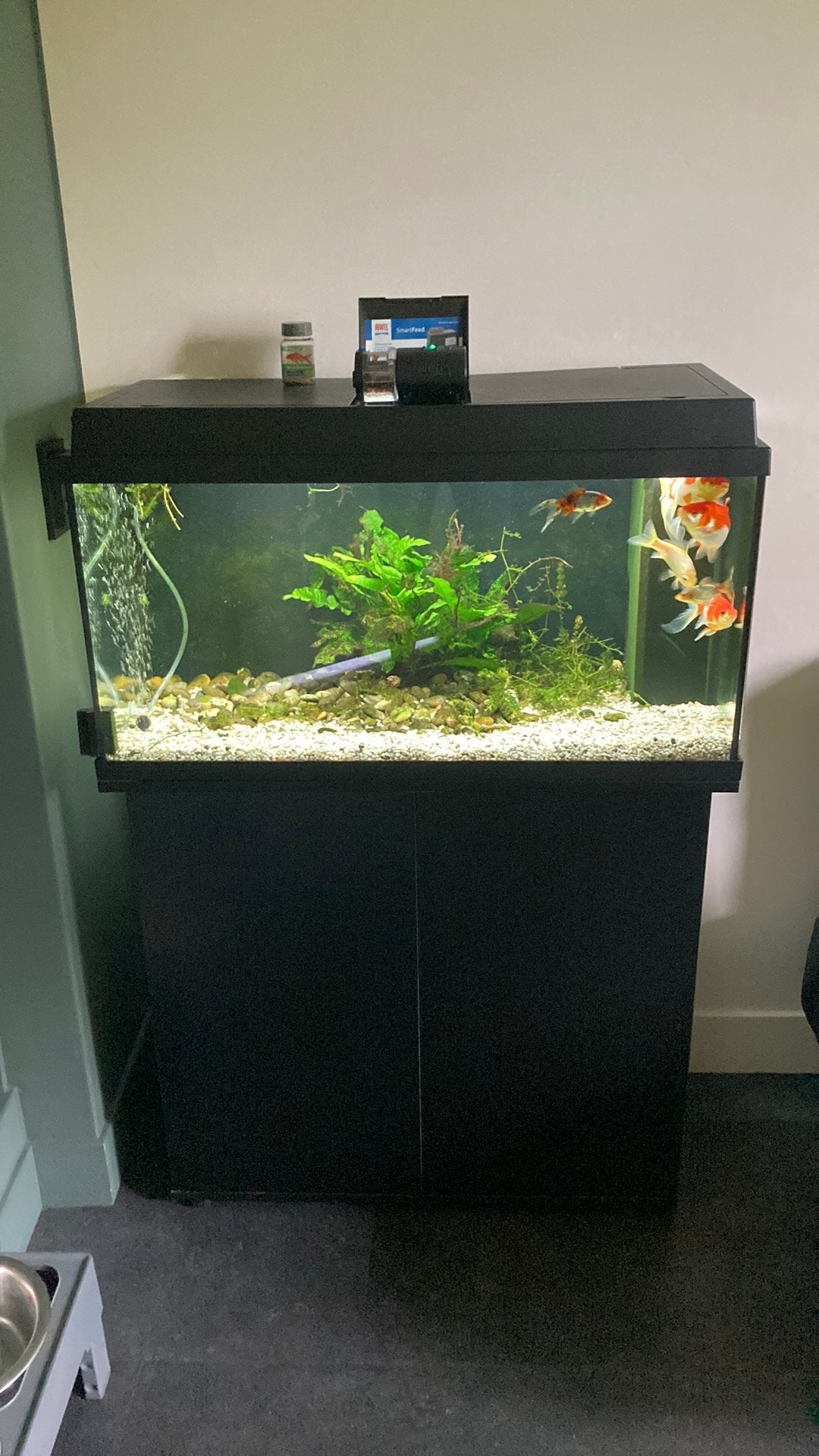 Volglas aquarium 110 liter, Dieren en Toebehoren, Ophalen of Verzenden, Leeg aquarium