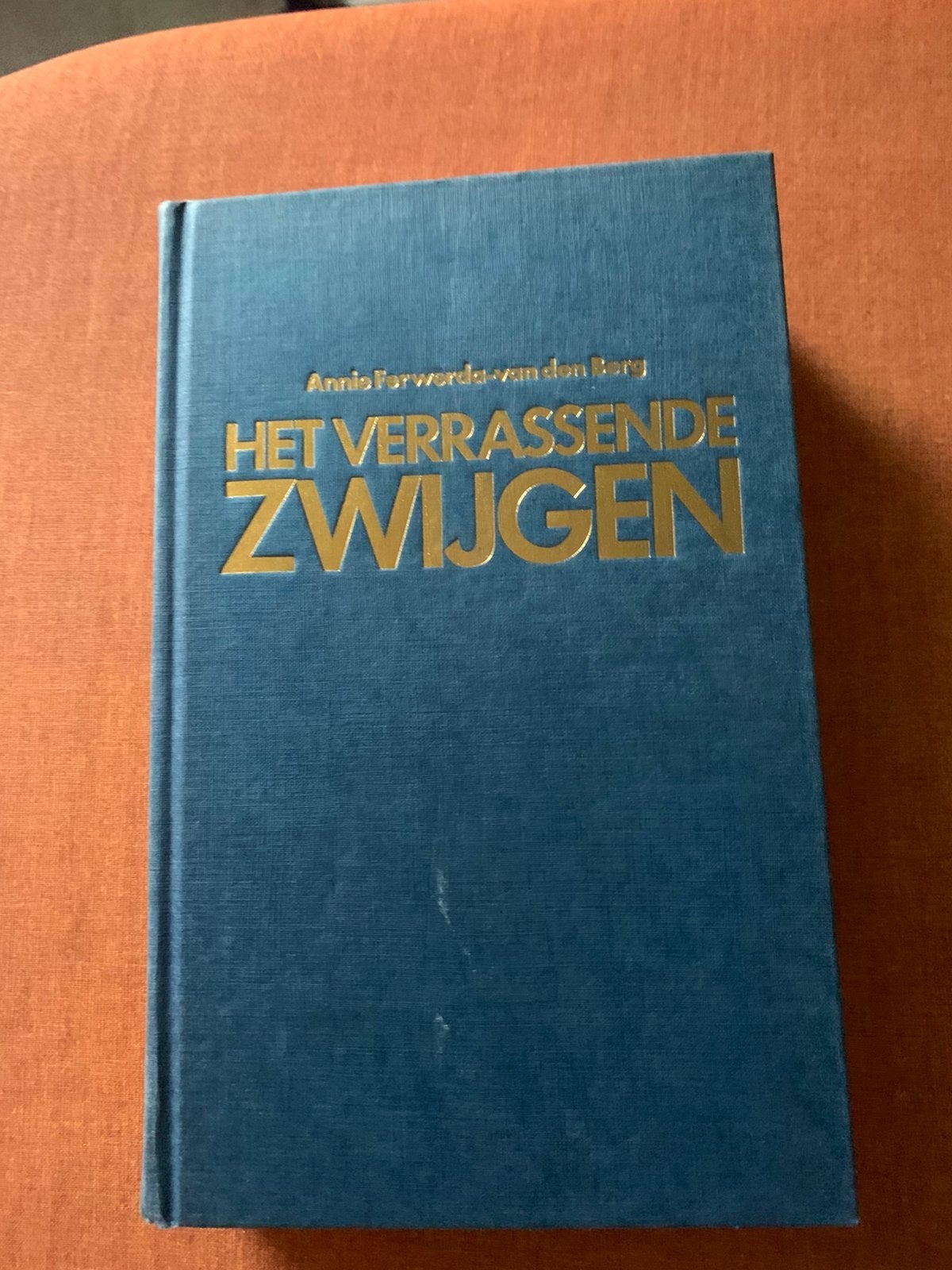 Het verrassende zwijgen, Ophalen of Verzenden, Zo goed als nieuw, Nederland