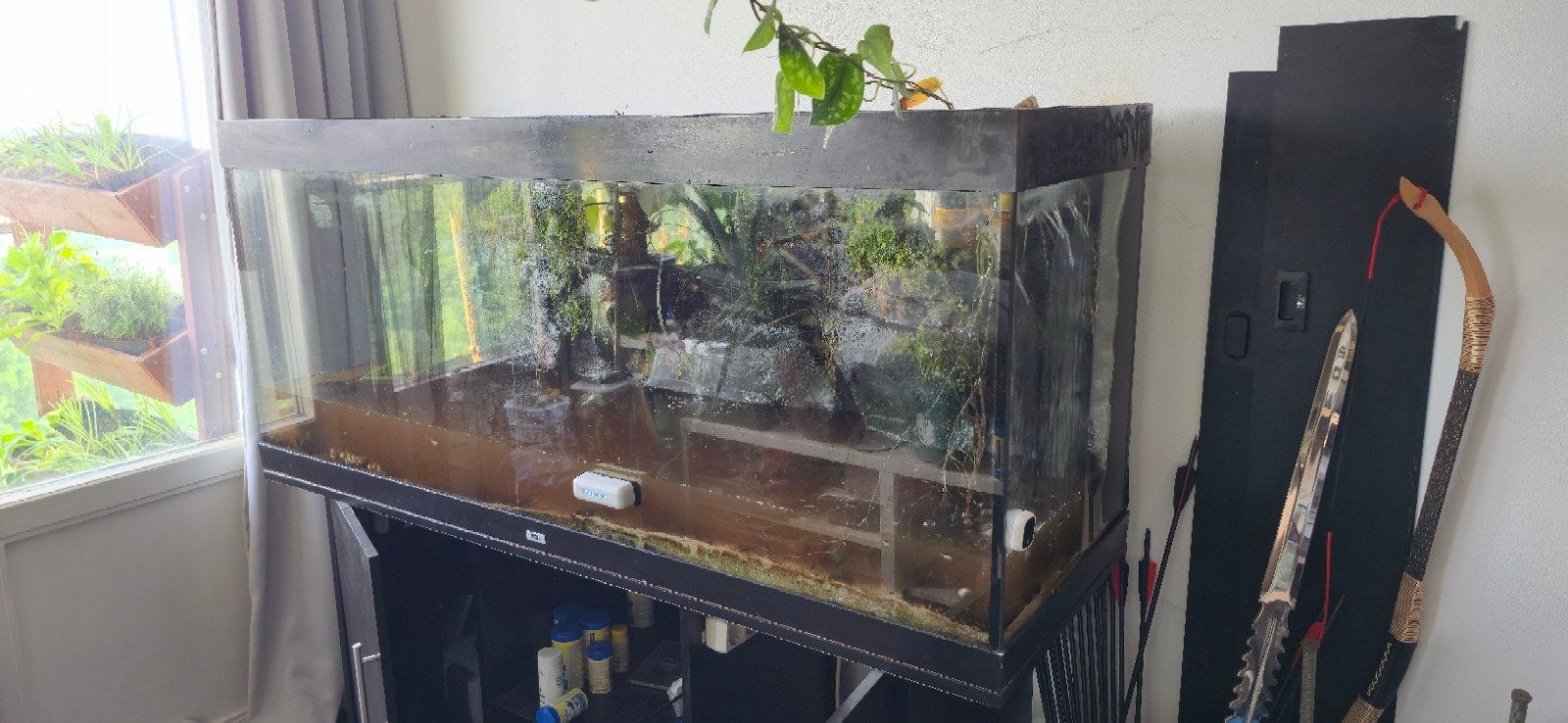 aquarium Juwel rio 450l.

150L, 50B, 65H.

pomp, verwarming, Dieren en Toebehoren, Overige typen, Zoetwatervis
