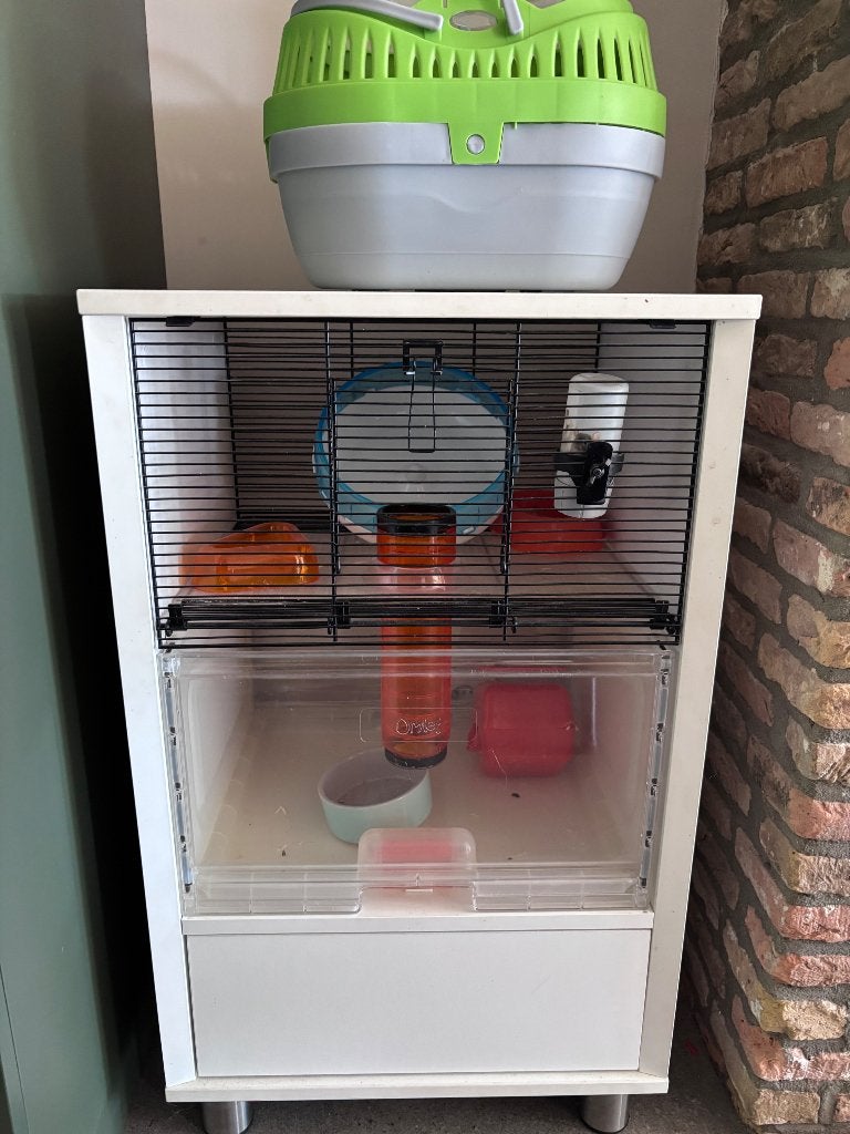 Hamsterkooi, Ophalen, Kooi, Gebruikt, 60 tot 90 cm