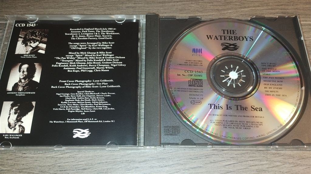 The Waterboys - This Is The Sea, Ophalen of Verzenden, Zo goed als nieuw, Poprock
