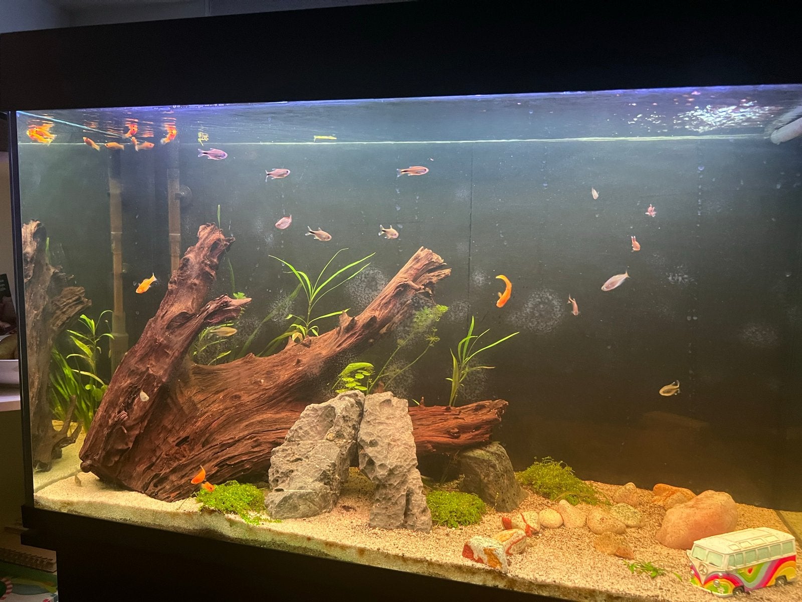 Aquarium 240 liter te koop, Ophalen, Leeg aquarium