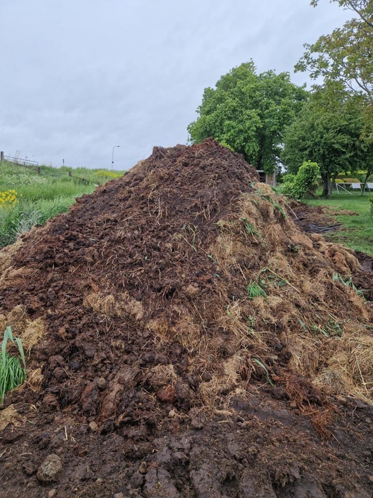 Verse paardenmest voor uw tuin, Tuin en Terras, Aarde en Mest, Mest, Ophalen of Verzenden