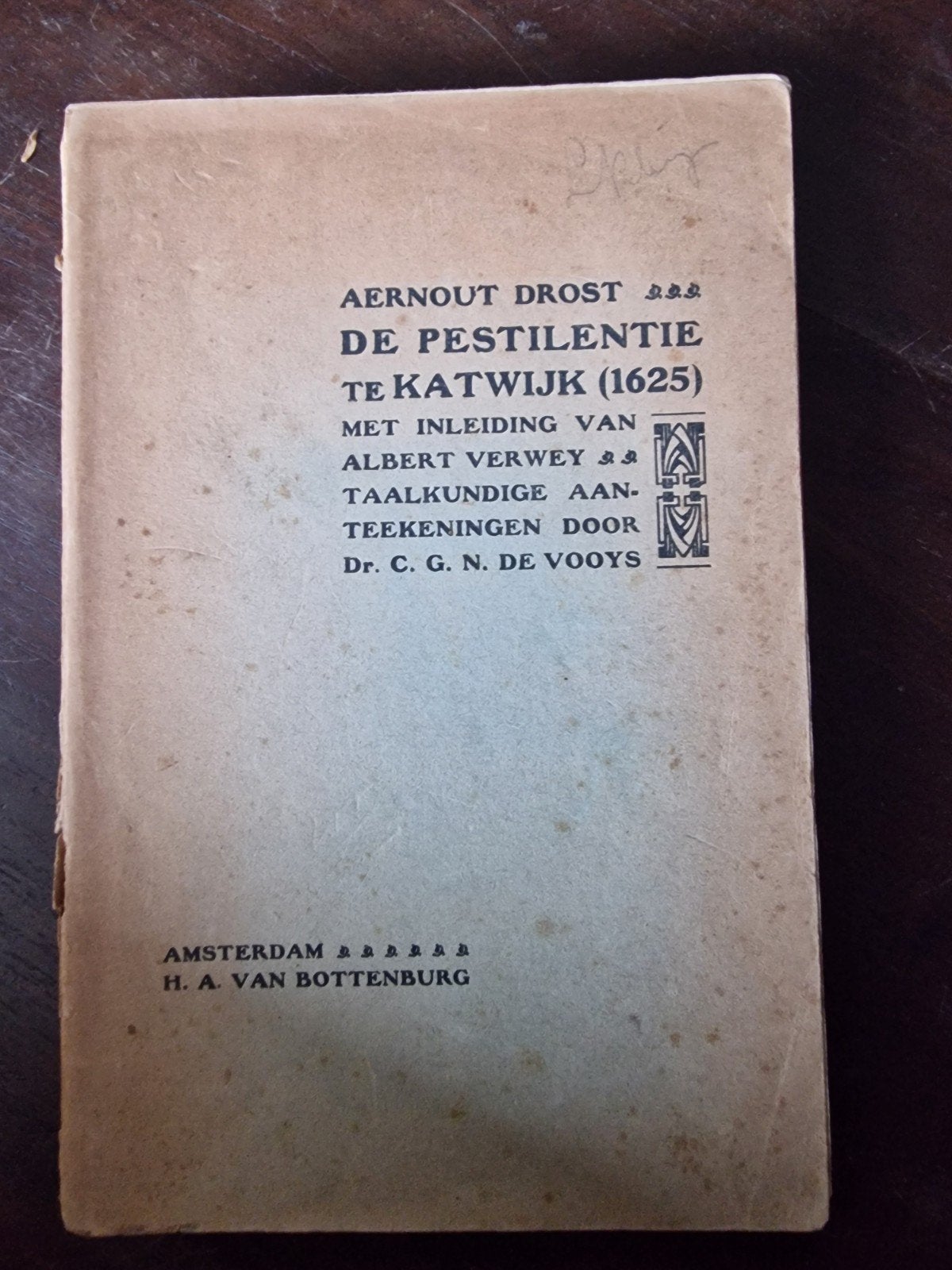 De Pestilentie te Katwijk (1625) - Aernout Drost, Ophalen of Verzenden, Gelezen, Aernout Drost, Nederland