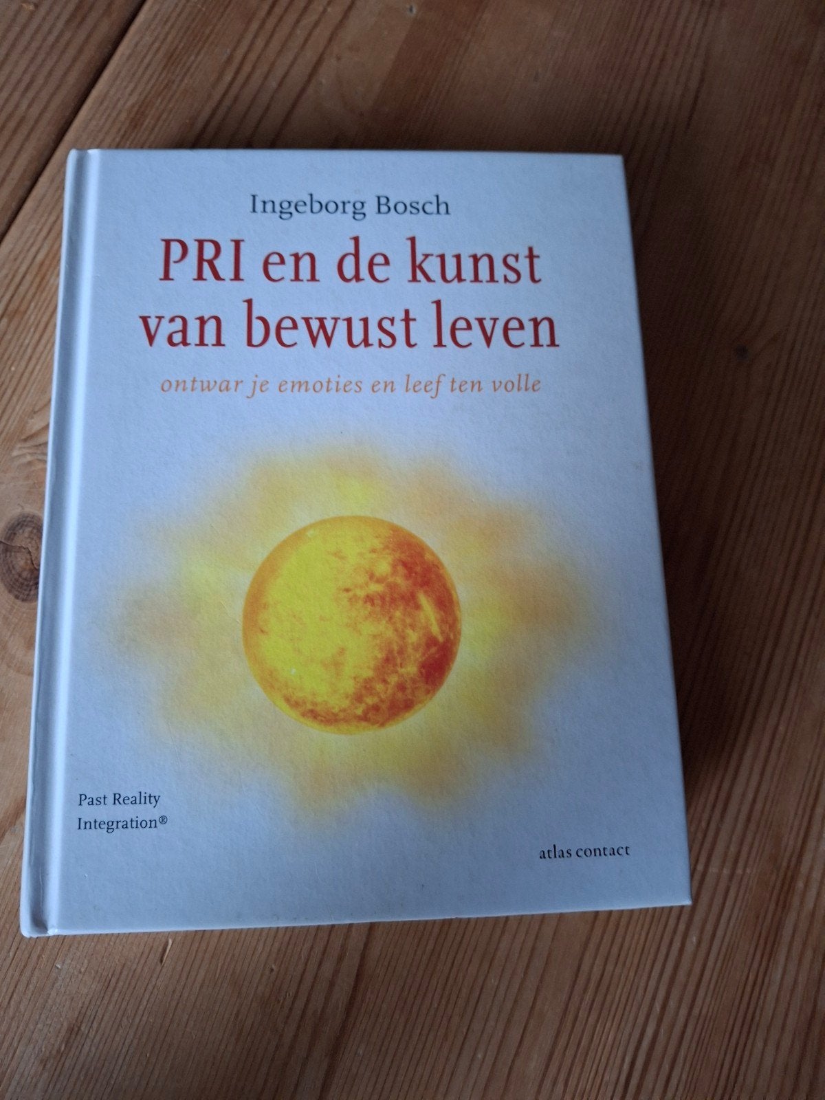 Ìngeborg Bosch - PRI en de kunst van bewust leven, Boeken, Ophalen of Verzenden, Gelezen, Ìngeborg Bosch