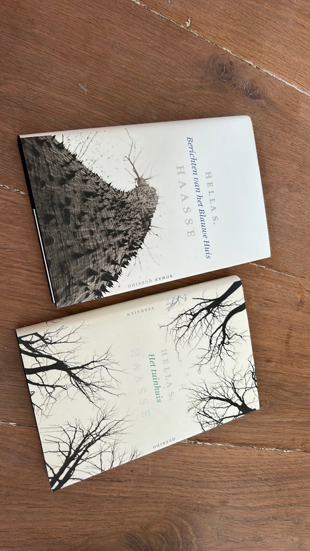 Hella Haasse Boeken kopen in de literatuur sectie | Marktplaats