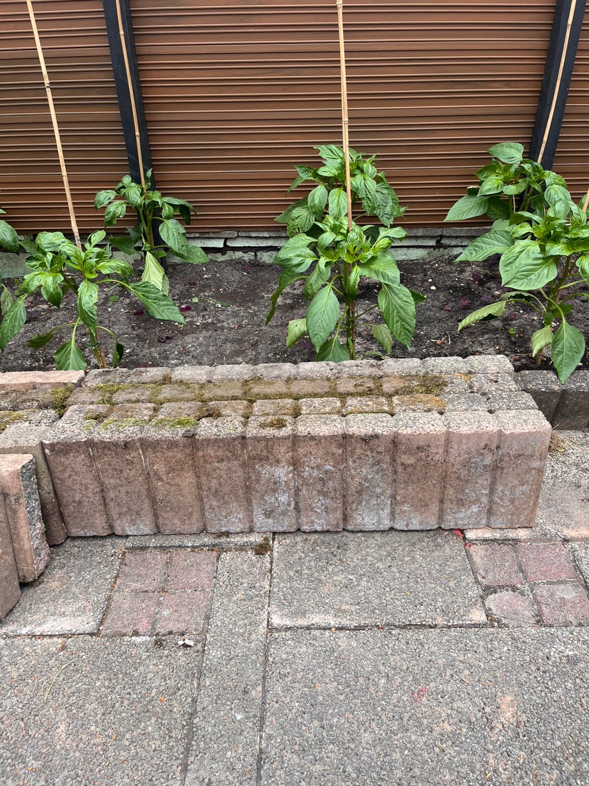 Opsluit banden gratis, Ophalen, Gebruikt, Minder dan 100 cm, Minder dan 25 cm