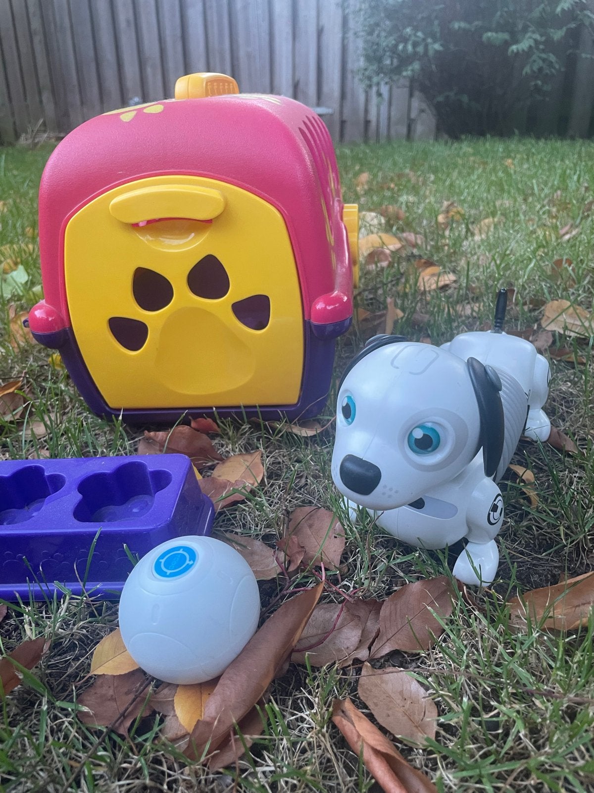 Robot hondje met huisje, Ophalen of Verzenden, Zo goed als nieuw, Jongen of Meisje
