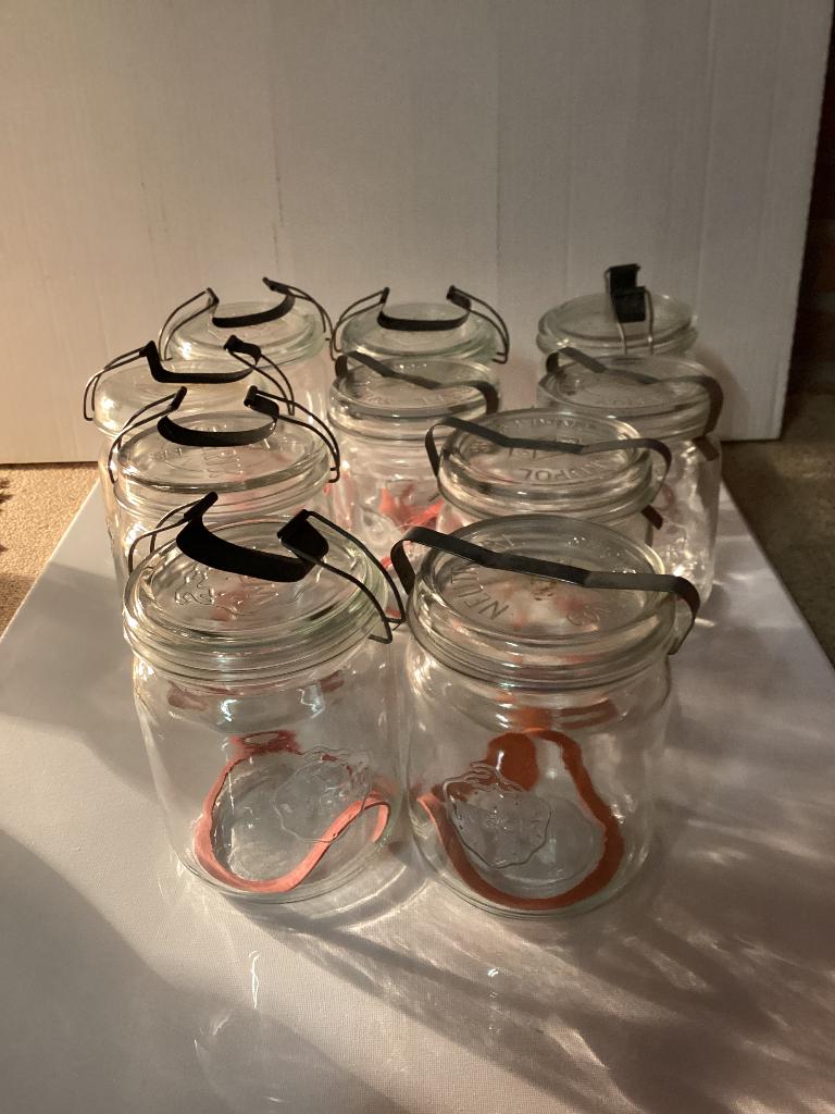 10 Weck potten, Ophalen of Verzenden, Gebruikt, Glas, Pot, Bus of Blik