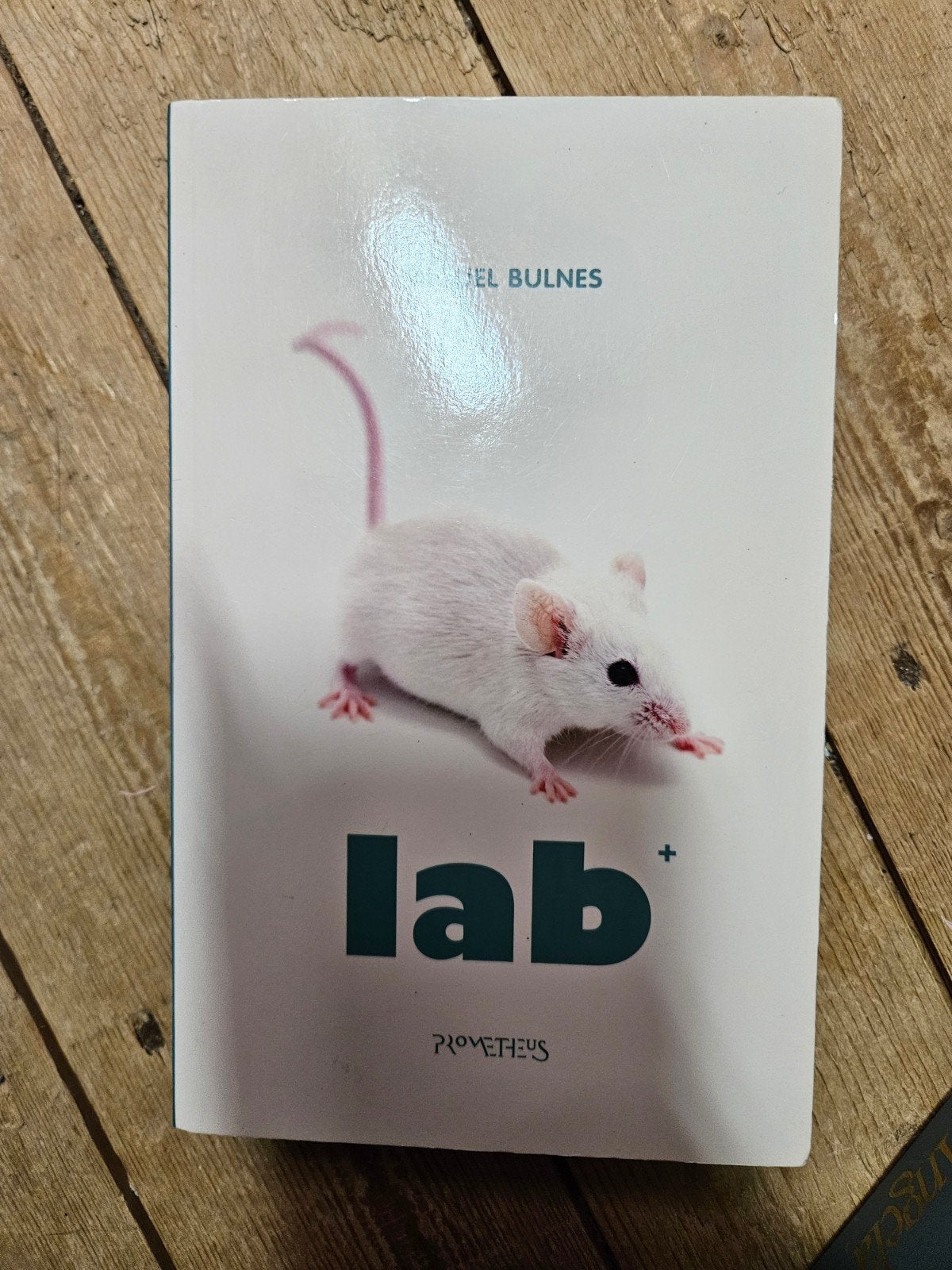 lab+ van miguel bulnes, Ophalen of Verzenden, Gelezen, Miguel bulnes