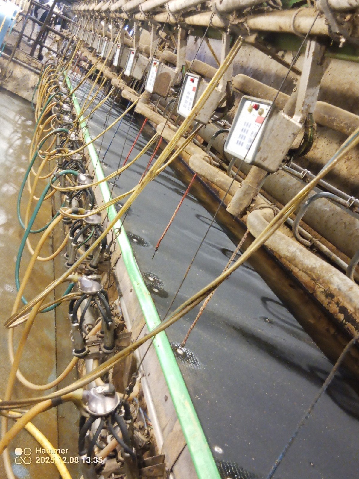 2 x16 gea westfalia melkstal per direct beschikbaar, Ophalen