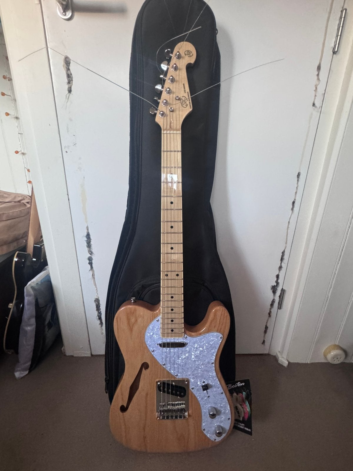 Sx thinline telecaster, Muziek en Instrumenten, Ophalen of Verzenden, Zo goed als nieuw, Hollow body, Overige merken