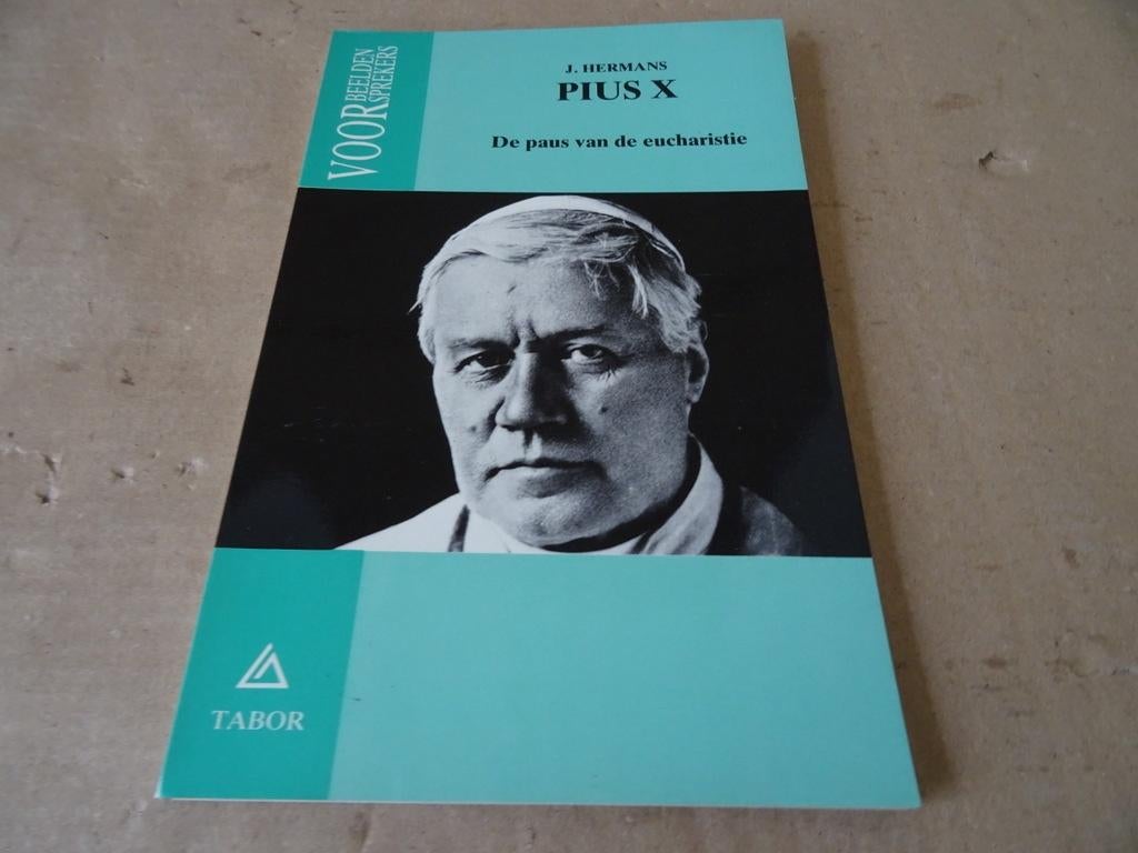 J. Hermans Pius X De paus van de eucharistie 1e druk 1984, J. Hermans, Christendom | Katholiek, Ophalen of Verzenden, Zo goed als nieuw