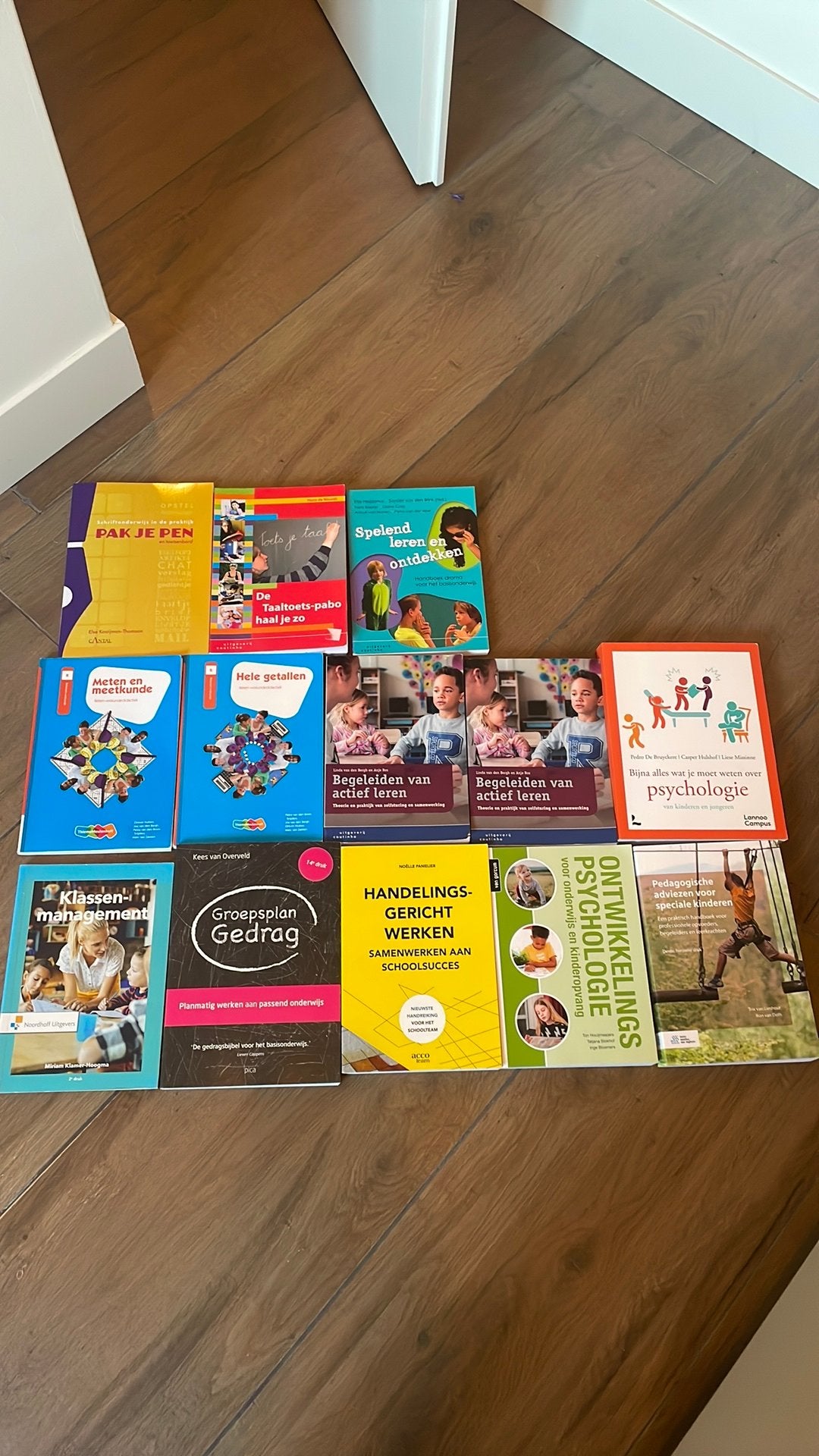 Boeken pabo zij-instroom studieboeken hva inholland, Boeken, Ophalen of Verzenden, Alpha, Zo goed als nieuw, HBO