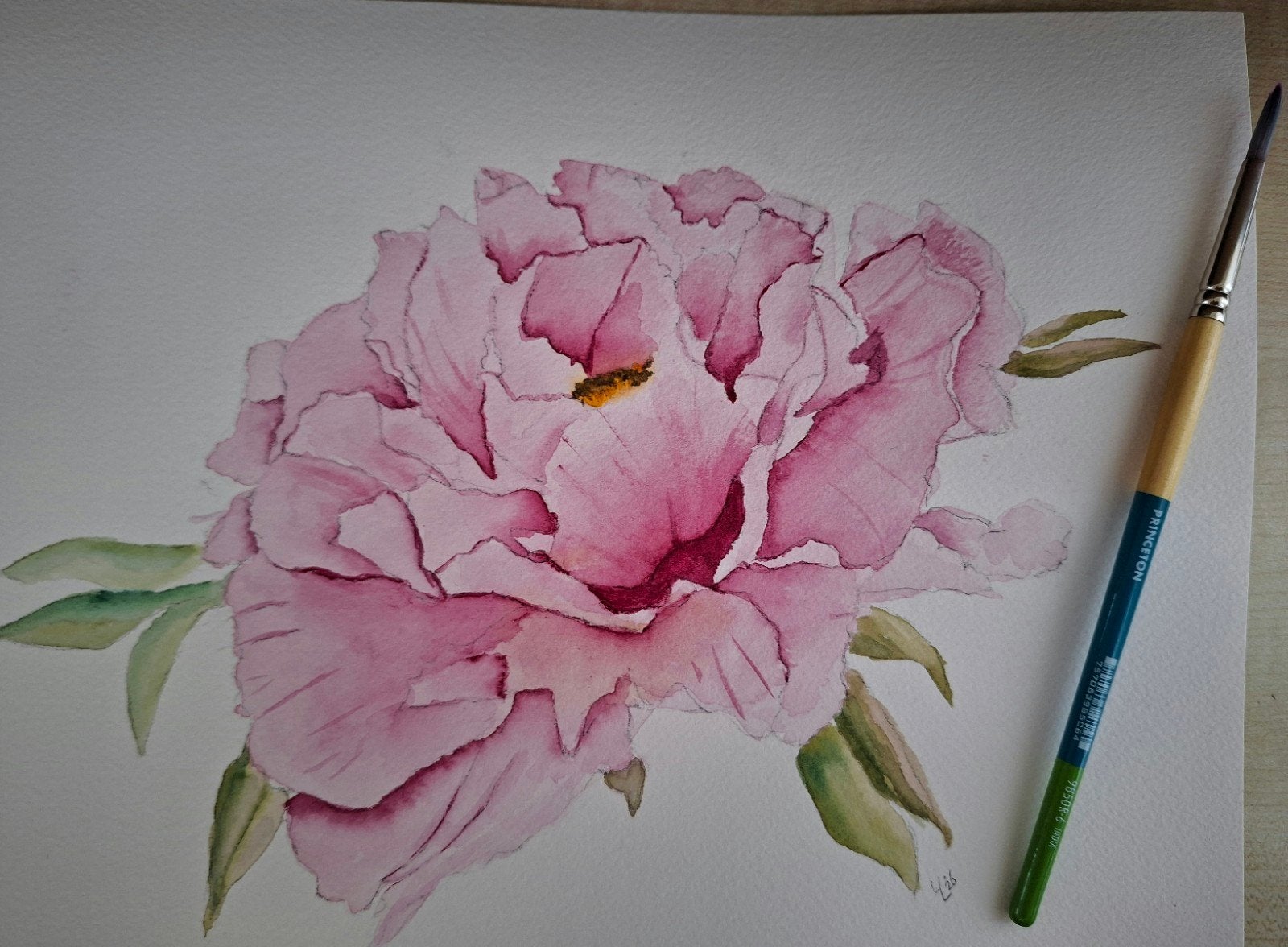 Aquarel Pioenroos, Minder dan 50 cm, Oorspronkelijke maker, Nieuw, Ophalen of Verzenden