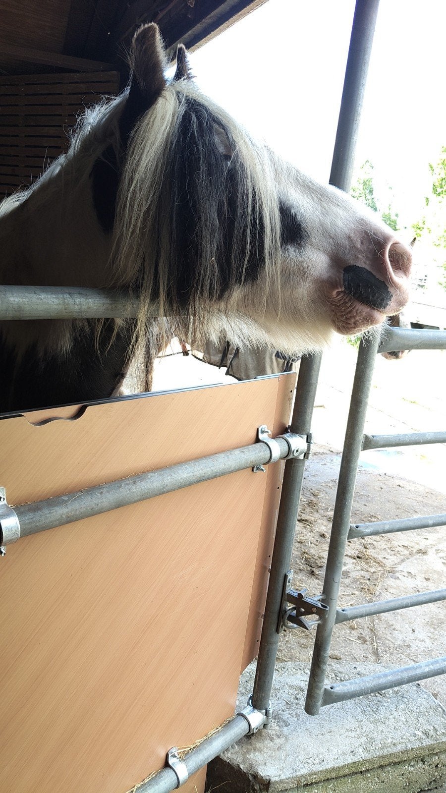 Stalling gezocht voor 2 pony's, Dieren en Toebehoren, Stalling