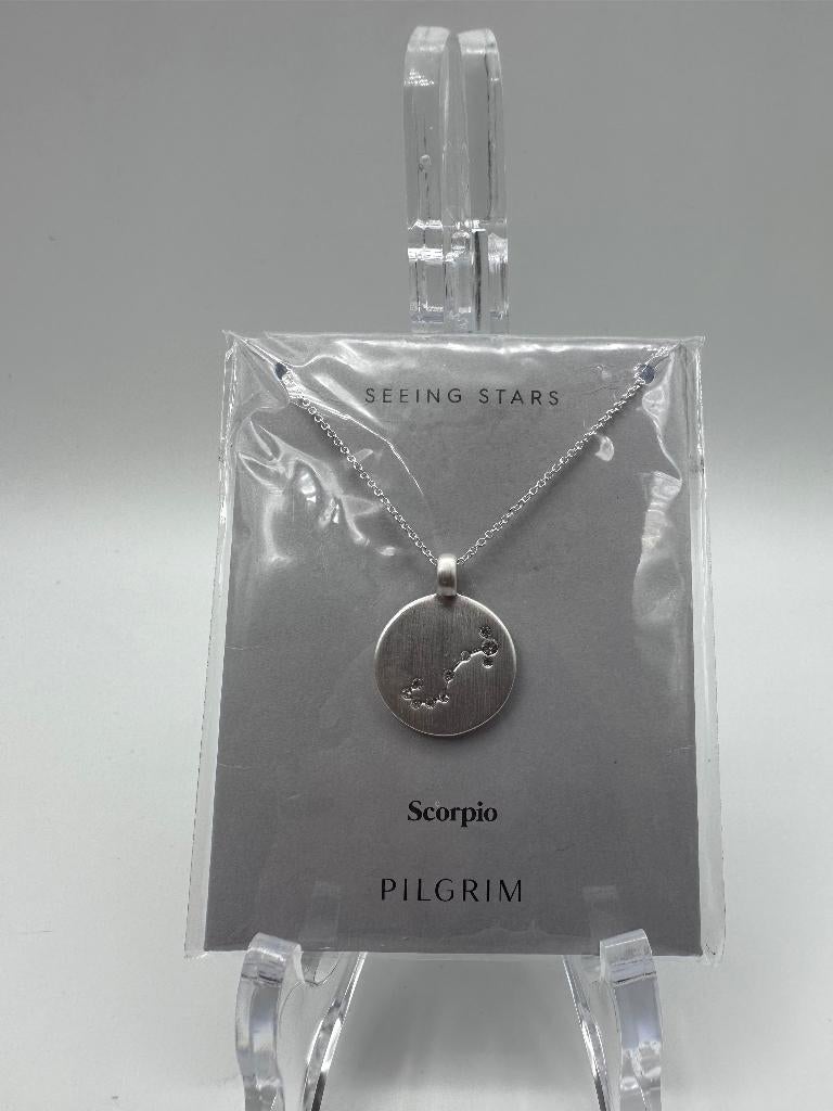 SCORPIO Zodiac Sign Coin Necklace, silver-plated, Ophalen of Verzenden, Zilver, Overige materialen