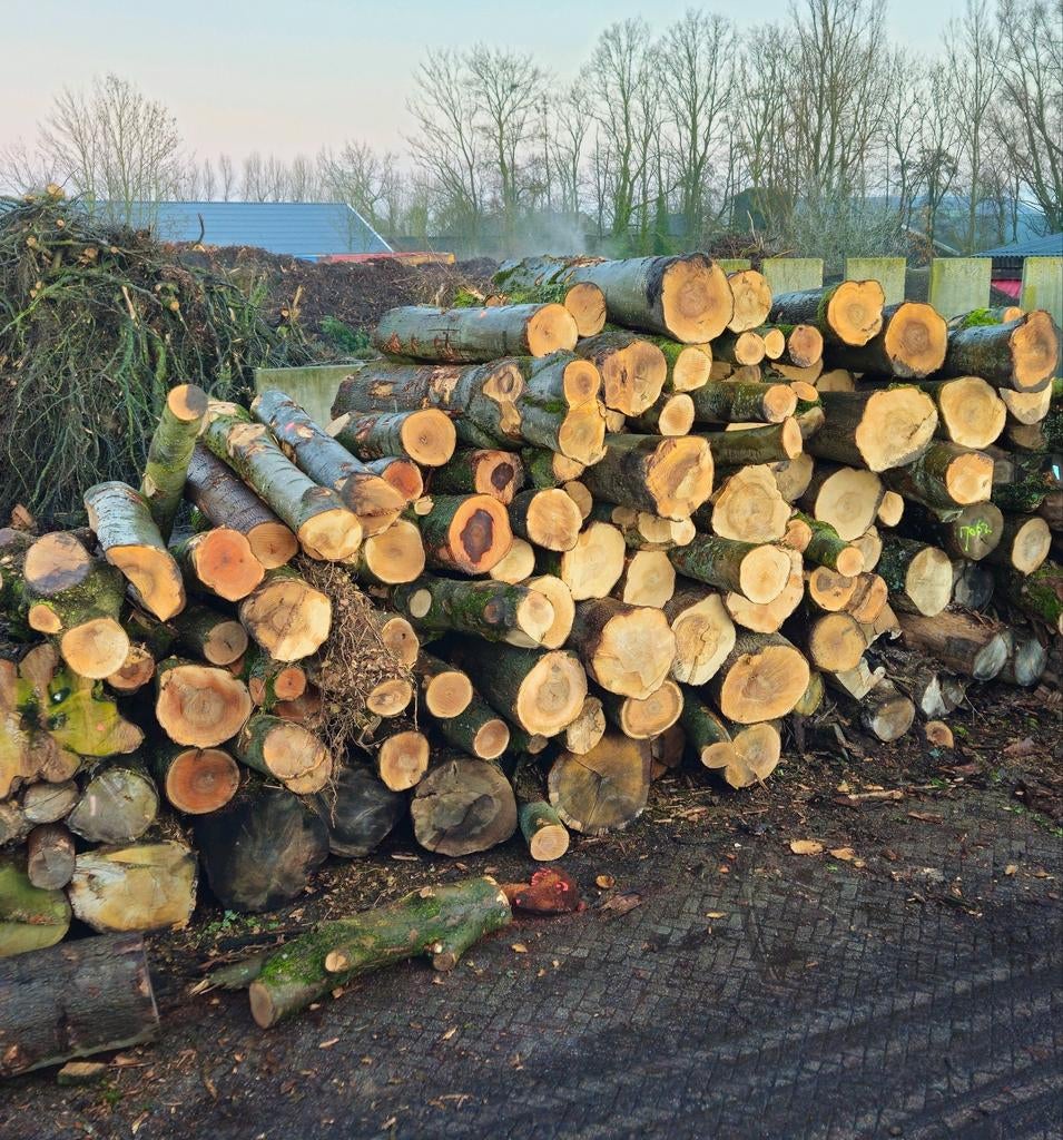 Boomstammen brandhout, es, eik, beuk, iep, esdoorn, els, Tuin en Terras, Haardhout, Stammen, Essenhout, 6 m³ of meer, Ophalen of Verzenden