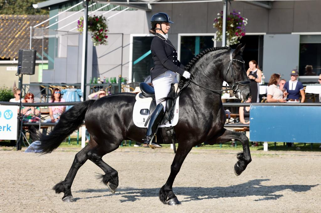 Topkwaliteit Friese paarden aangeboden, nu ook luxe veulens!, Meerdere dieren, 0 tot 2 jaar