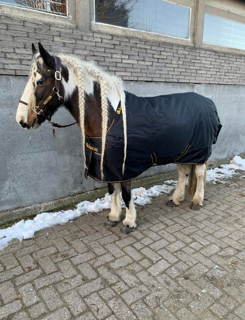 NIEUW: Bucas Irish Turnout 300grams Extra black/gold, Dieren en Toebehoren, Ophalen of Verzenden, Nieuw
