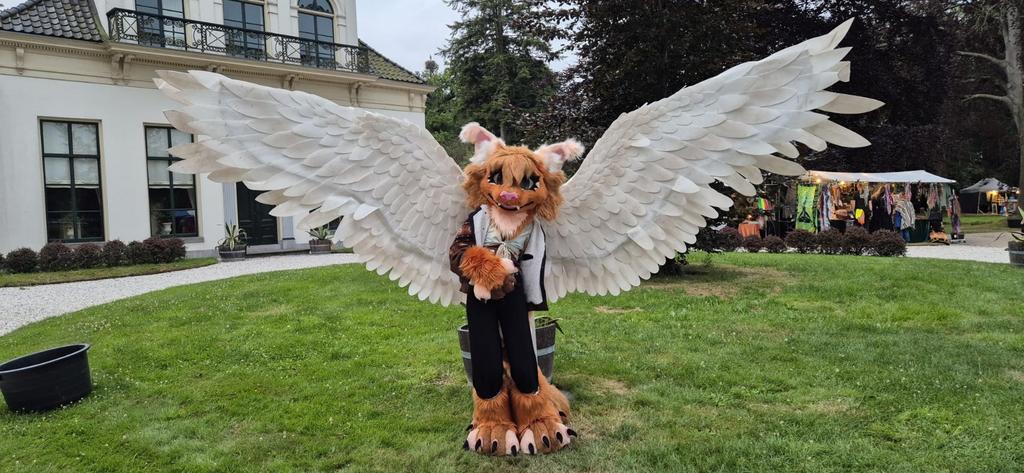 Fursuit kat hq! (Lees beschrijving!), Hobby en Vrije tijd, Ophalen of Verzenden