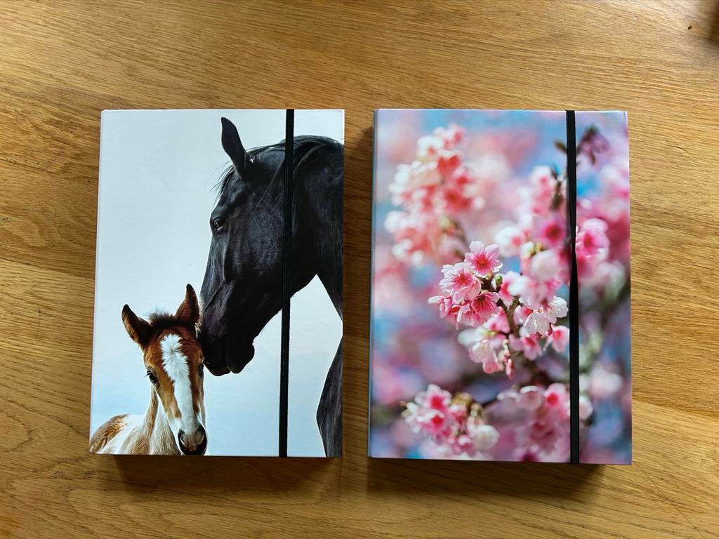 A4 opbergmap box, 2 voor 1 euro, Ophalen of Verzenden, Nieuw