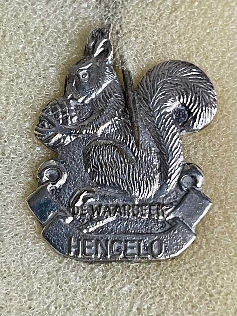 Oud Speldje De Waarbeek Hengelo Eekhoorn (D), Ophalen of Verzenden, Gebruikt, Dier of Natuur, Speldje of Pin