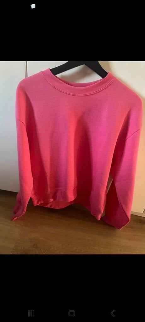 Zara, Kleding | Dames, Truien en Vesten, Zara, Ophalen of Verzenden, Zo goed als nieuw, Maat 42/44 (L)