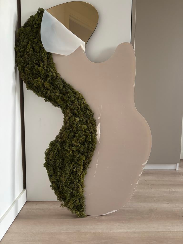 Decoratieve spiegel met mos van Growing Concepts, Ophalen, Nieuw