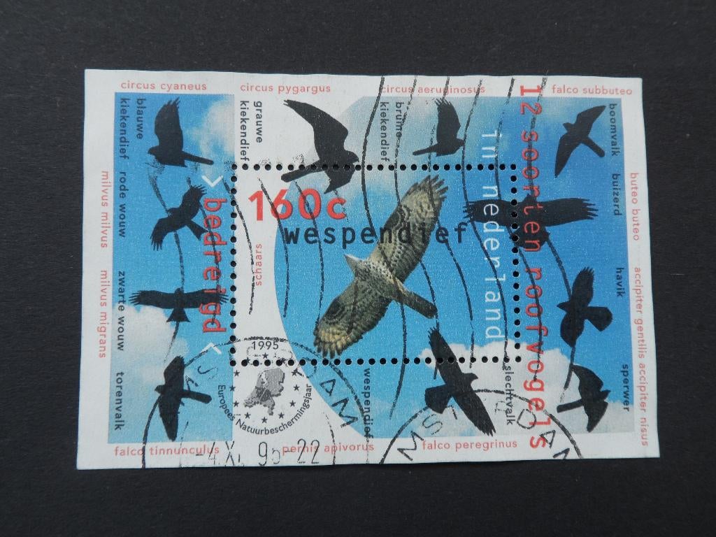 1995 NVPH 1652: Blok Wespendief., Verzenden, Na 1940, Gestempeld