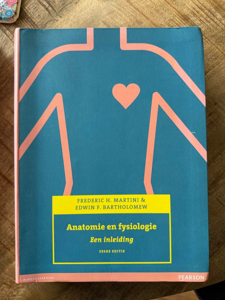 Anatomie en fysiologie - Martini & Bartholomew 9789043032346, Boeken, Studieboeken en Cursussen, Ophalen of Verzenden, Beta, Zo goed als nieuw