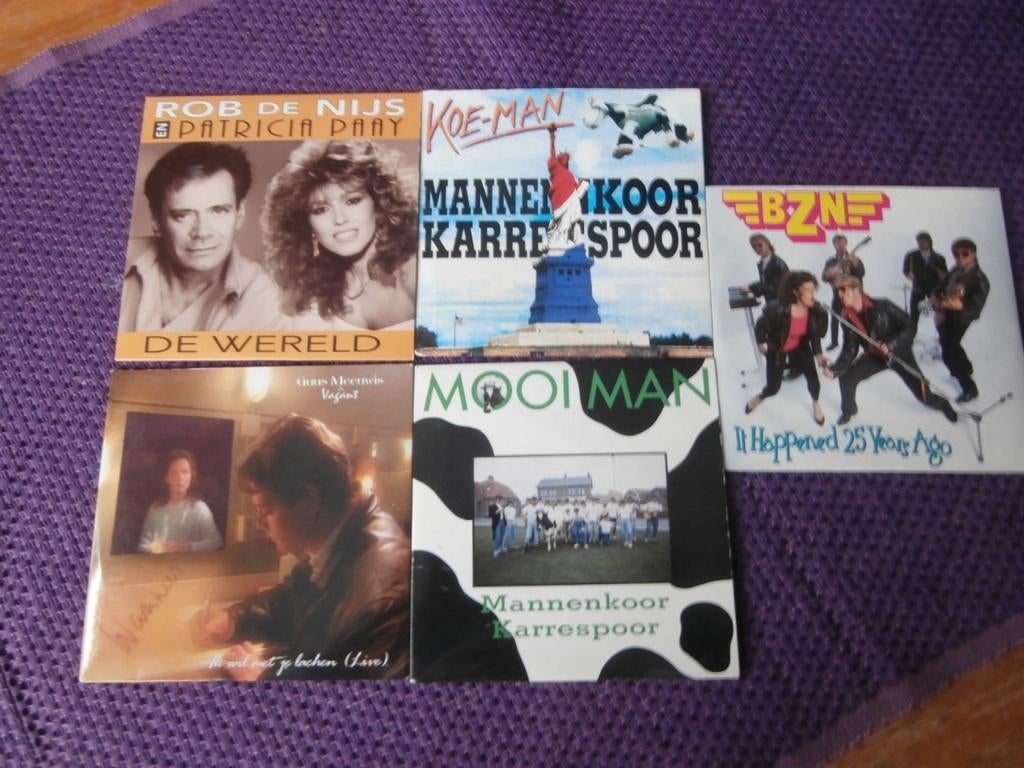 Cd Rob de Nijs Patricia Paay Mannenkoor Karrespoor BZN Guus, Ophalen of Verzenden, Zo goed als nieuw