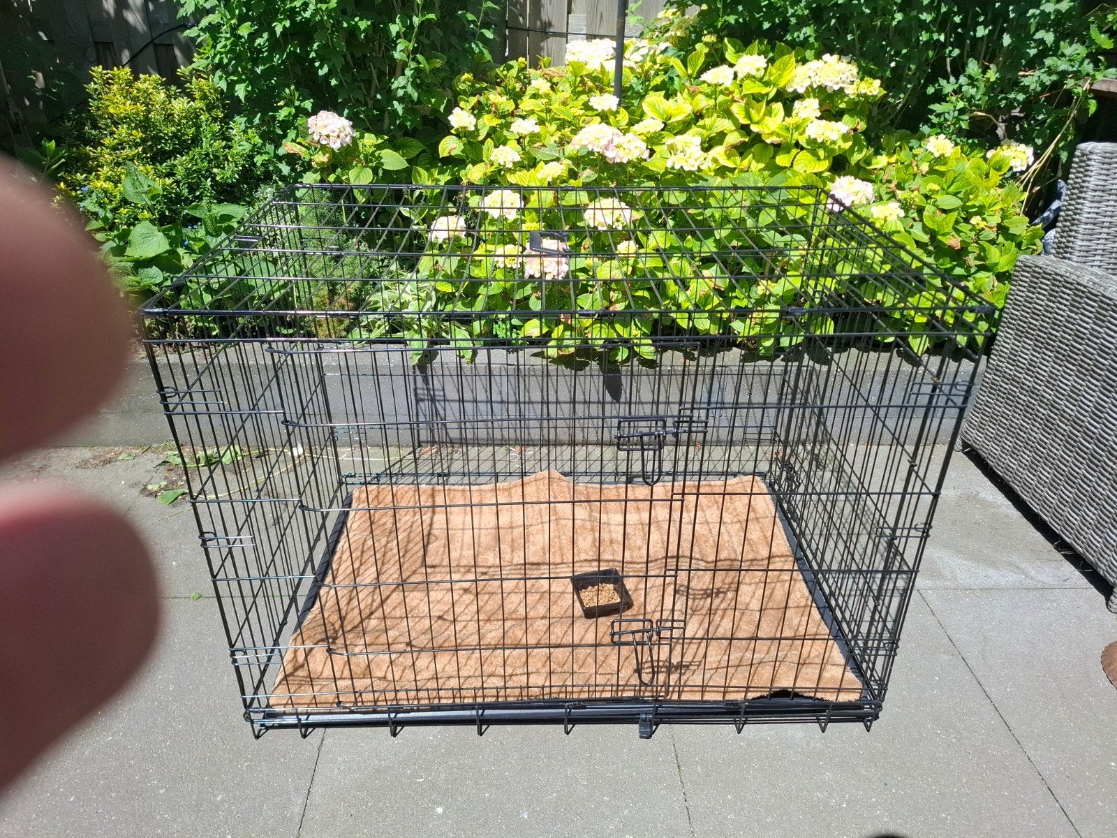 Grote honden bench, Ophalen, Gebruikt