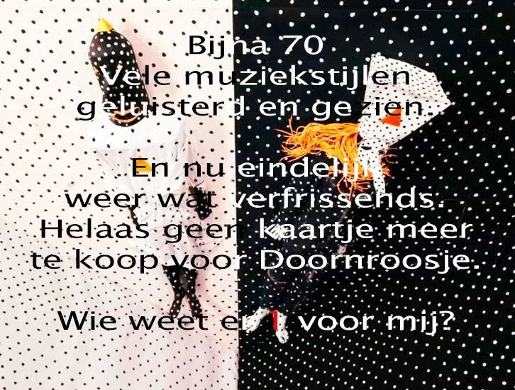 concertkaartje Angine de Poitrine gevraagd, Tickets en Kaartjes, Eén persoon, Augustus