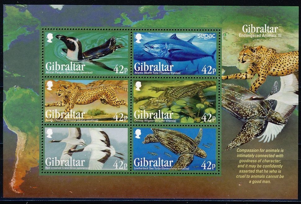 Gibraltar Blok 113 Dieren 2013 postfris, Ophalen of Verzenden, Postfris