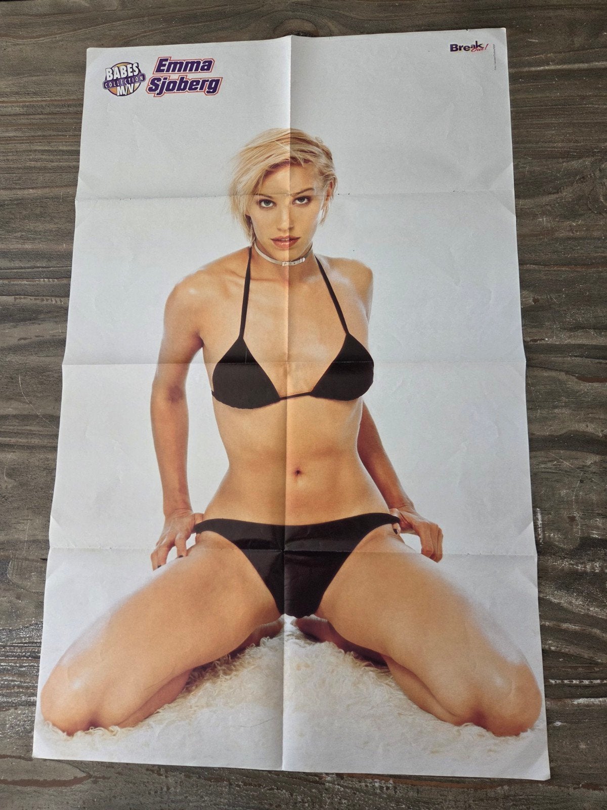 Break-Out Poster Emma Sjöberg 87x54CM, Rechthoekig Staand, Deurposter of groter, Ophalen of Verzenden, Zo goed als nieuw