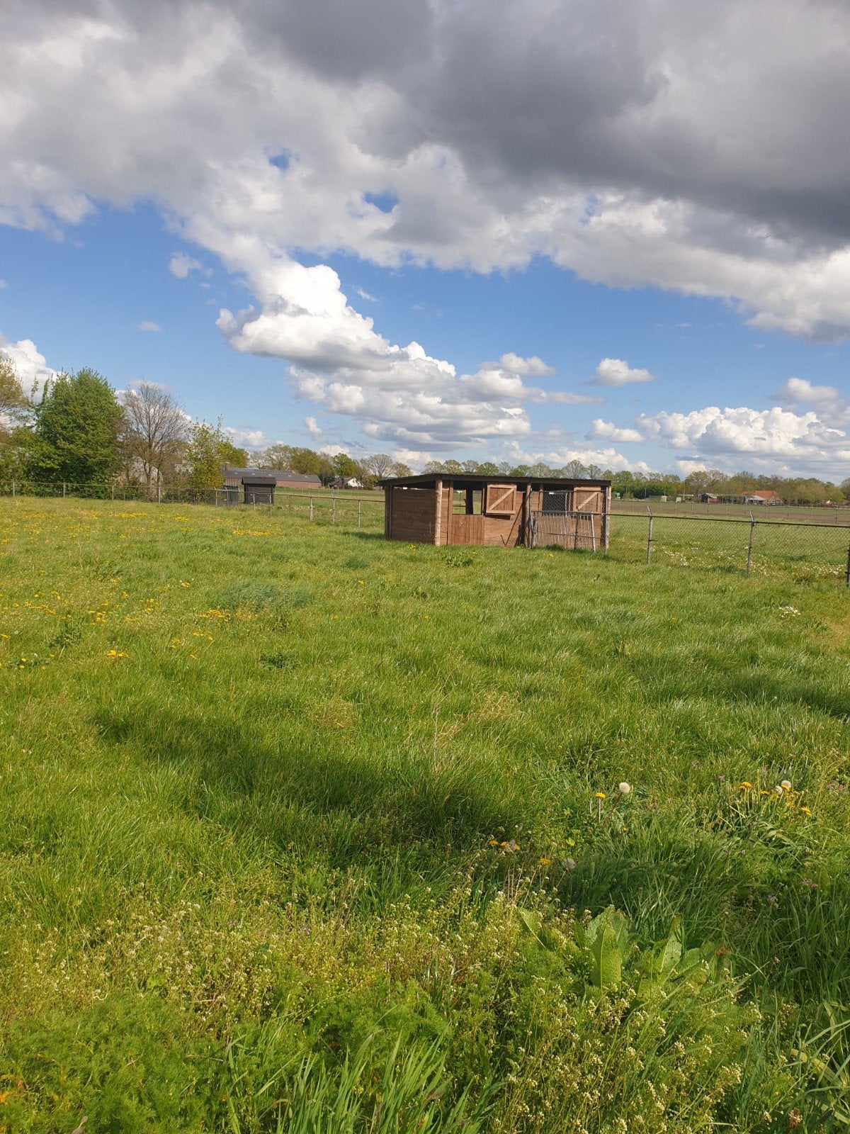 Weiland te huur, Weidegang