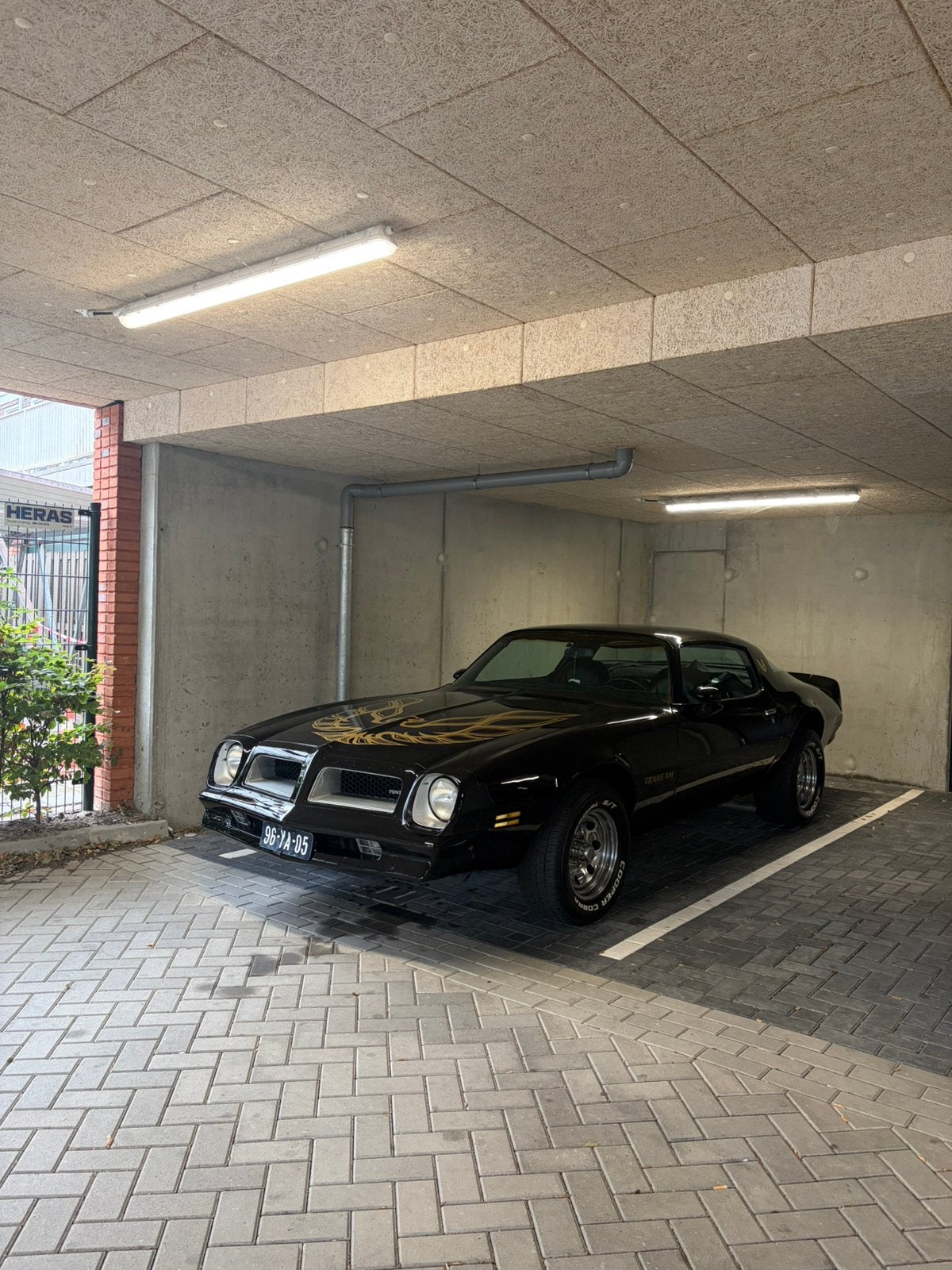 Pontiac Firebird 1976 5.7, foto 2