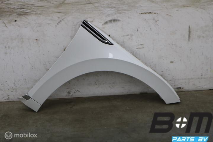 Spatscherm RV R-Line VW Arteon LOK1 3G8821106, Gebruikt