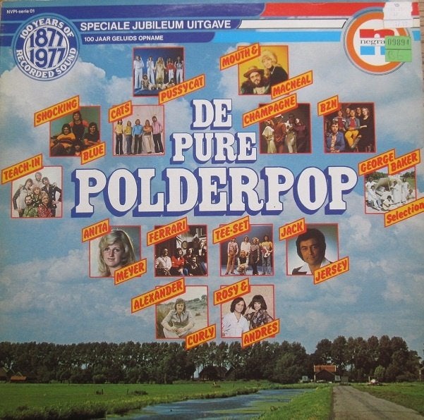 Pure polderpop - Diverse artiesten, Ophalen of Verzenden, Zo goed als nieuw, 12 inch