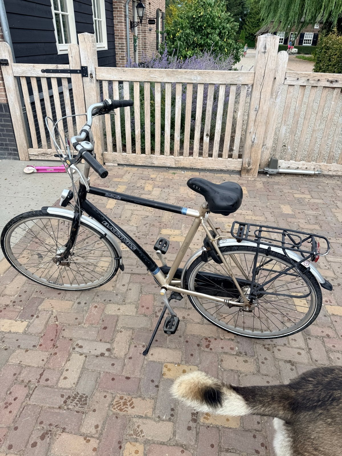 Batavus Entrada herenfiets., Ophalen, Versnellingen, Batavus, Trommelrem