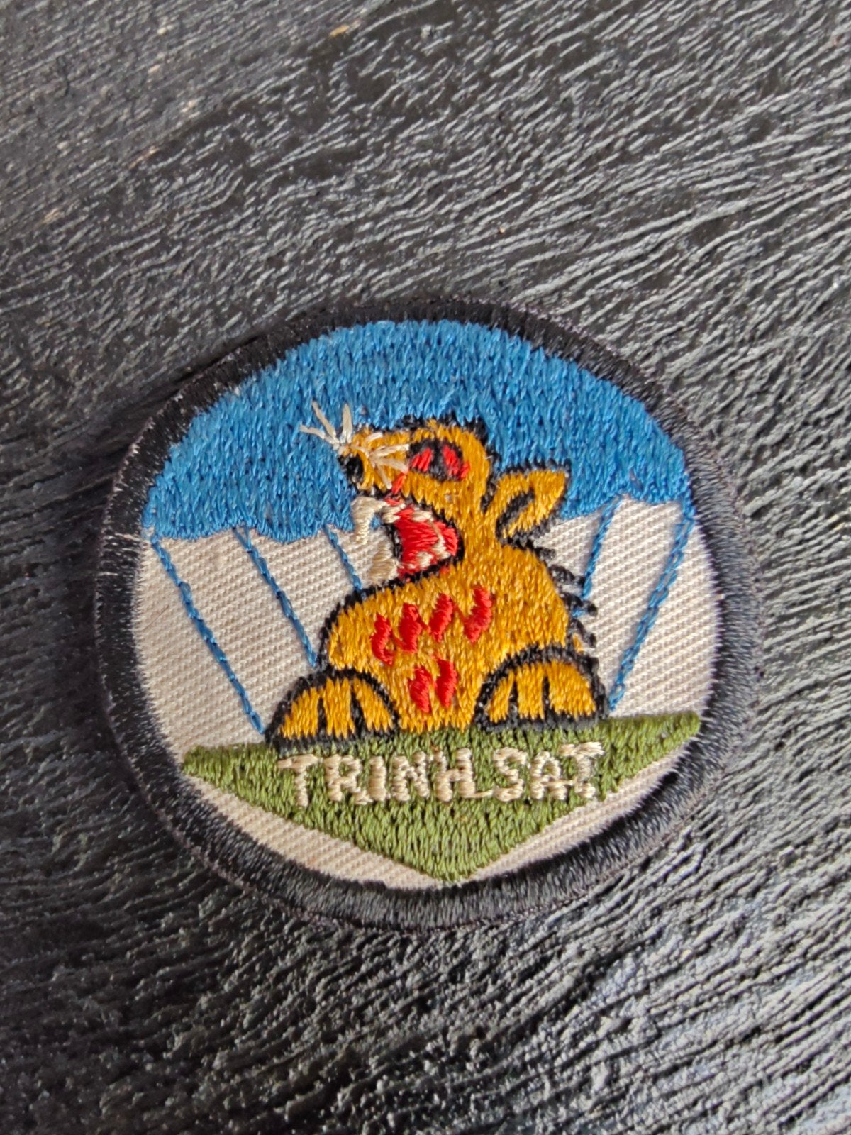 ARVN Special Forces Recon Team "TRINH SAT" Vietnam War Patch, Verzamelen, Ophalen of Verzenden, Landmacht, Amerika, Embleem of Badge